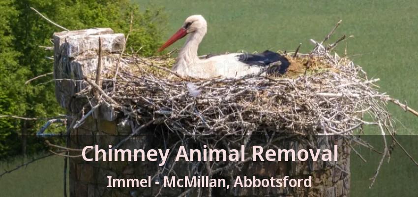 Chimney Animal Removal Immel - McMillan, Abbotsford - BC