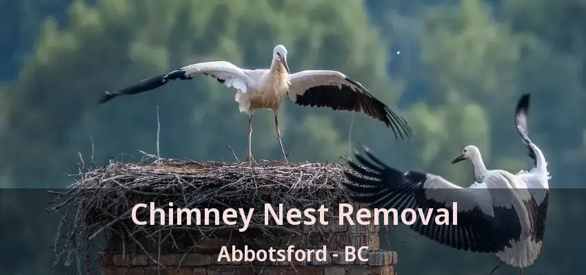 Chimney Nest Removal Abbotsford - BC