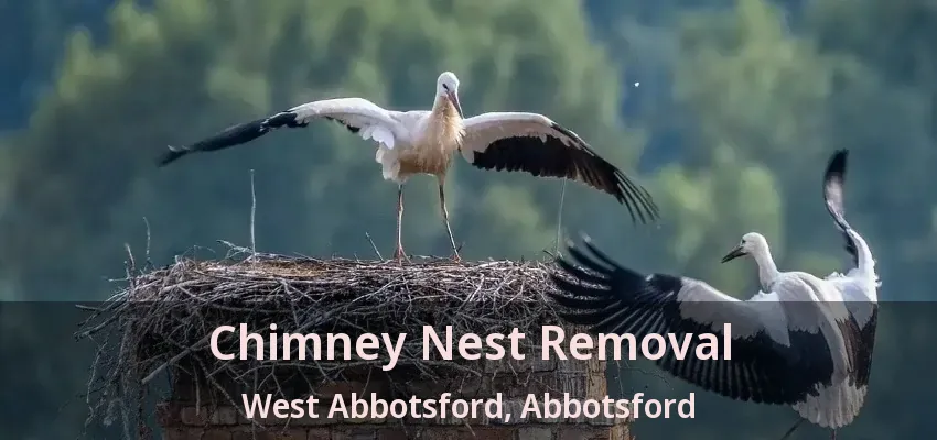 Chimney Nest Removal West Abbotsford, Abbotsford - BC