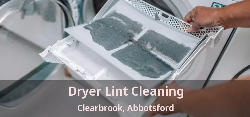 Dryer Lint Cleaning Clearbrook, Abbotsford - BC
