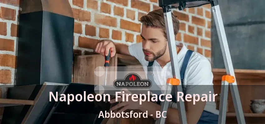 Napoleon Fireplace Repair Abbotsford - BC
